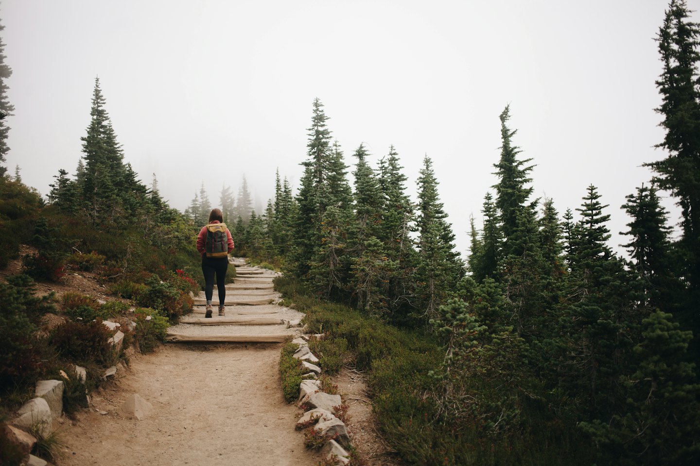 Hiker ascends a forest path towards a misty sky.